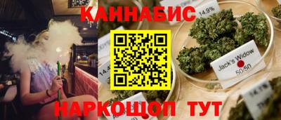 бошки Камышлов
