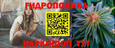 бошки Камышлов
