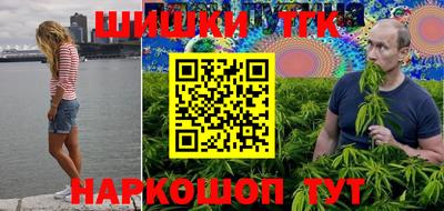 бошки Камышлов