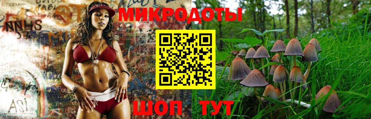 Галлюциногенные грибы Psilocybe  Вход с VPN  купить наркотик  Геленджик 